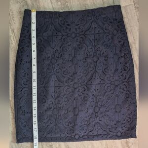 Banana Republic Dark Blue Lace Mini Skirt